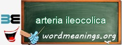 WordMeaning blackboard for arteria ileocolica
